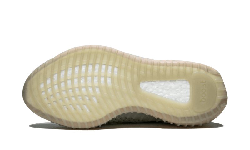 yeezy-boost-350-v2-true-form-830838_800x.png